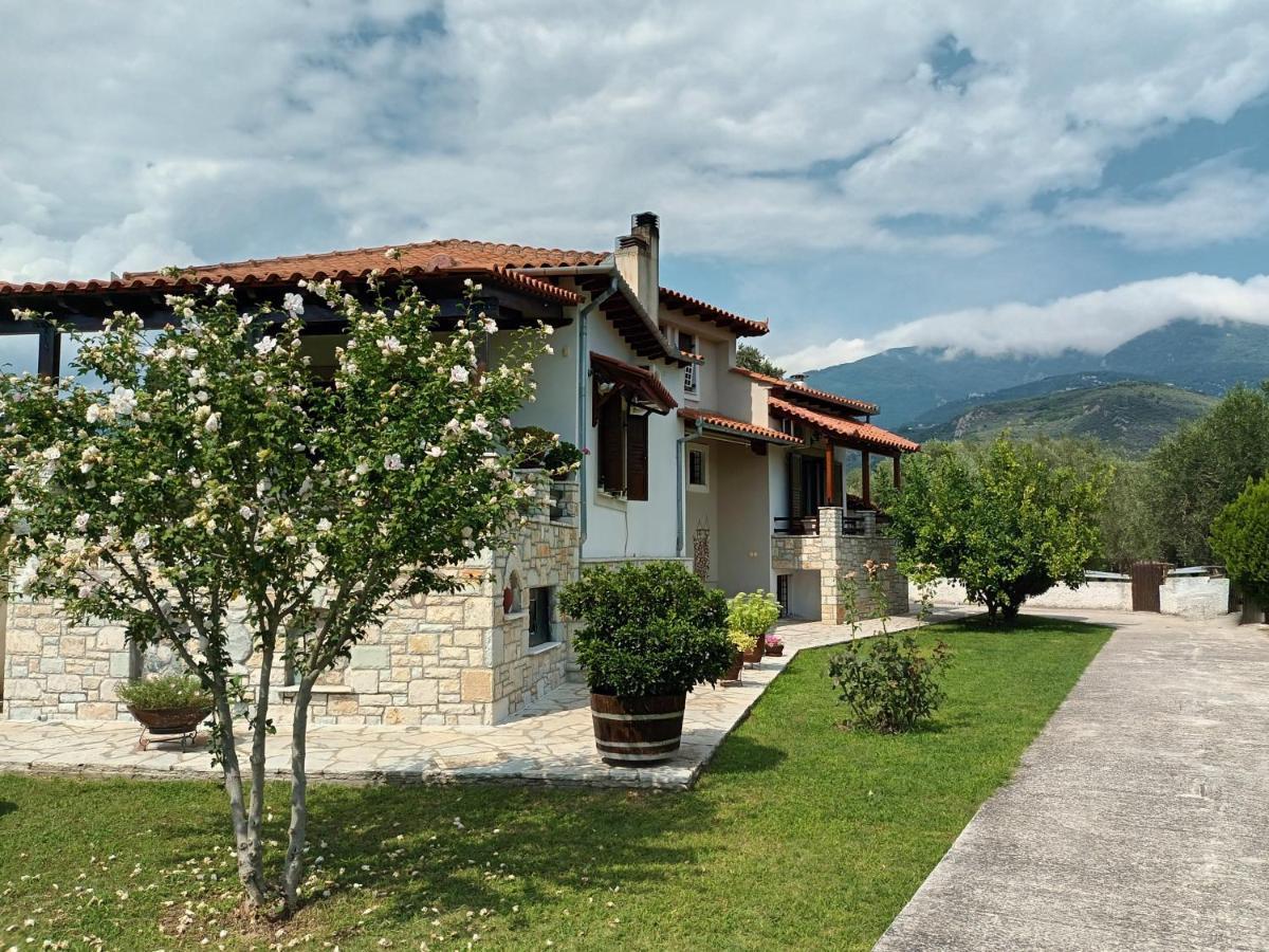 Villa Zenia Pelion Garden House Platanidia Exterior foto